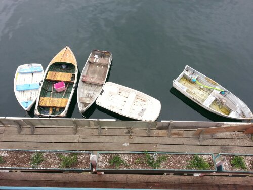 20130716_121254.jpg image