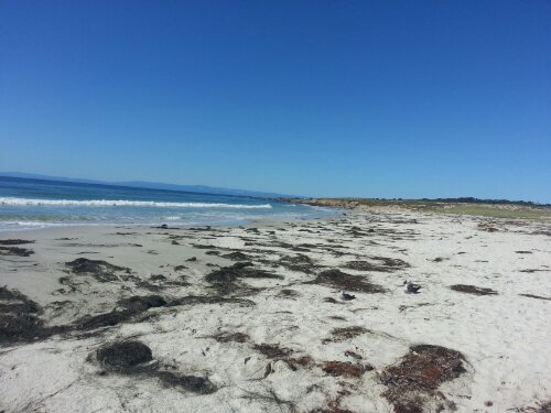 20130716_162752.jpg image