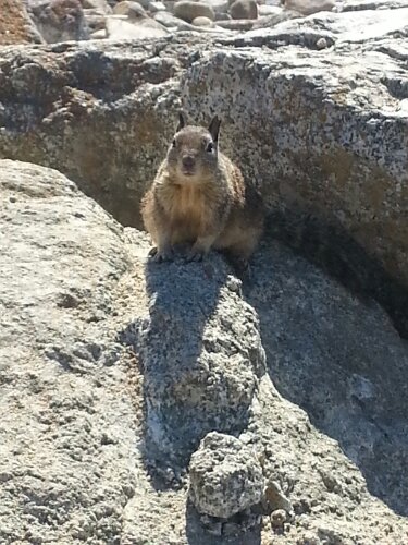 20130716_165326.jpg image