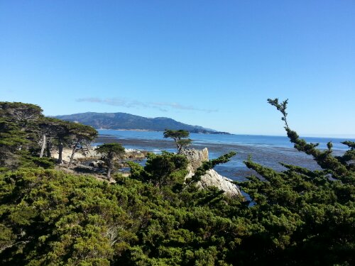 20130716_170548.jpg image