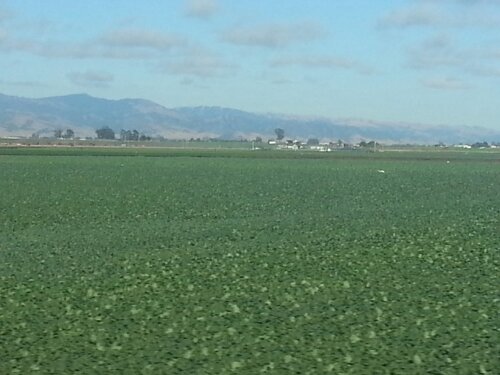 20130716_181017.jpg image