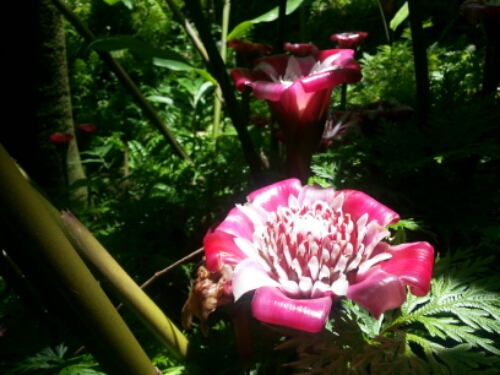 20150506_124304.jpg image