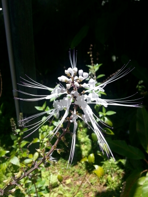 20150506_124555.jpg image