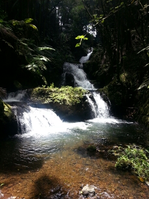 20150506_125556.jpg image