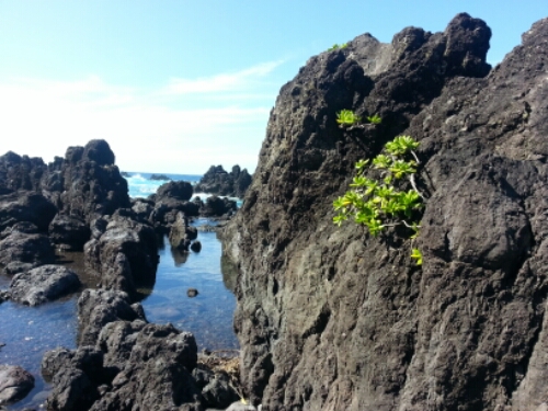 20150506_152438.jpg image