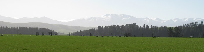 2009 10 10_2884-copy