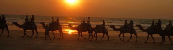 2012-10-25_2524-copy