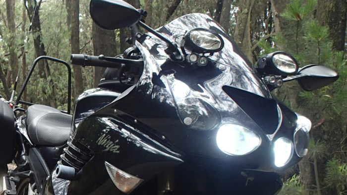 2014 12 07_4776 - cropped.jpg