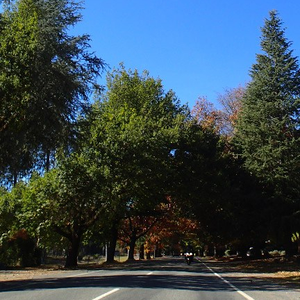 Coming into Bright Victoria