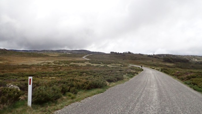 Bogong plains